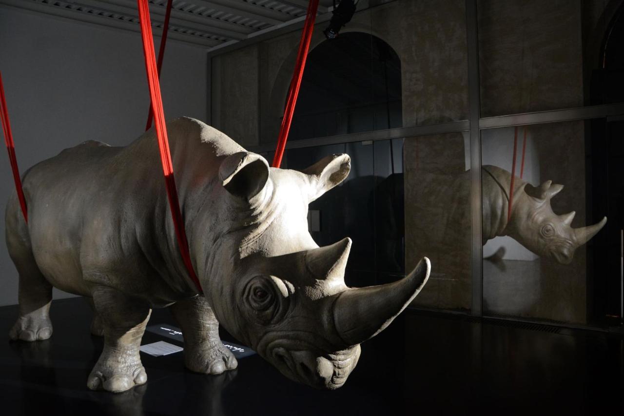 Rhinoceros Aparthotel Rome Luaran gambar